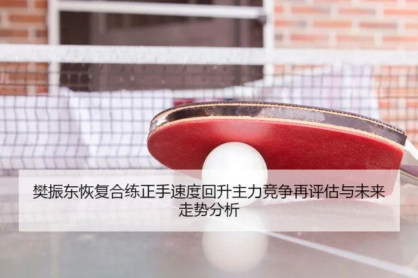 樊振东恢复合练正手速度回升主力竞争再评估与未来走势分析